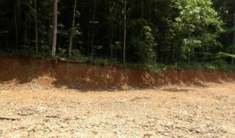 8 63ac Gravely Hill Rd, Bethpage, TN 37022