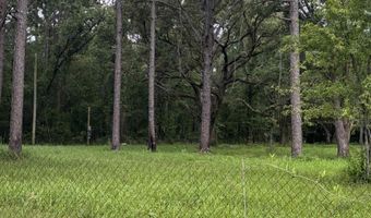 10901 Hall Dr, Axis, AL 36505