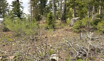 646 W Ski View Dr, Brian Head, UT 84719