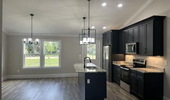 19298 Cressie Ln, Altha, FL 32421