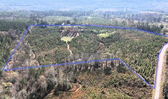 County Road 25, Banks, AL 36005