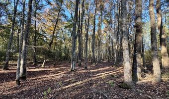 TBD Binnicker Bridge Road, Bamberg, SC 29003