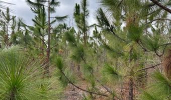 Red Oak Creek Road, Bethune, SC 29009
