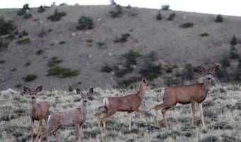 Tbd Stagecoach Spur W 935-3, Belfry, MT 59008