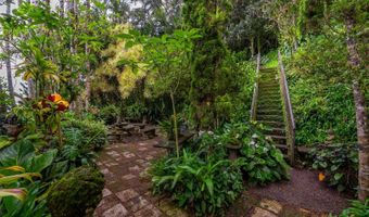 156 Forest Ridge Way, Honolulu, HI 96822