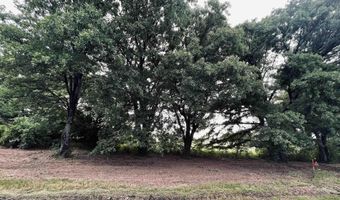 LOT 6 CR 1560, Alba, TX 75410