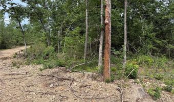 Tract 2 Hidden Valley, Annapolis, MO 63628