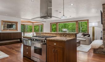 203 Eastwood Dr, Aspen, CO 81611