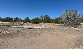 68 County Rd N8171, Concho, AZ 85924