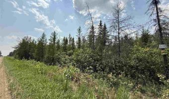 TBD Samuelson Road - Sec 15, Angora, MN 55703