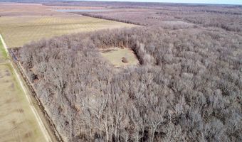 6075 Curtis Rd, Batesville, MS 38606