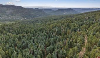 TBD Unit 3 Forest Lakes, Bayfield, CO 81122