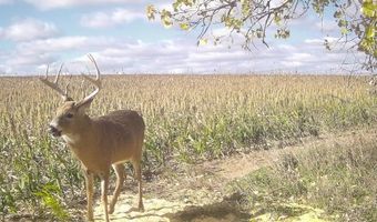 00000 CR 140, Alexander, KS 67513