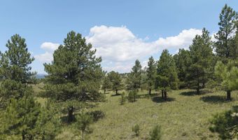 9 Buckskin Rd, Angel Fire, NM 87710