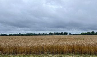 TBD STATE ROAD T, Auxvasse, MO 65231