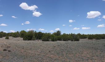 N8190, Concho, AZ 85924