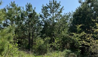 TBD US Highway 69, Alto, TX 75925