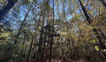 0 Bar M Farm Rd, Andalusia, AL 36421