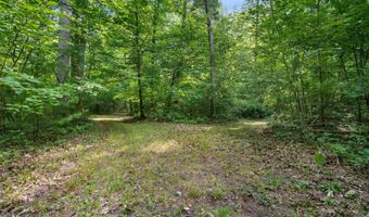 1125 39th St, Allegan, MI 49010