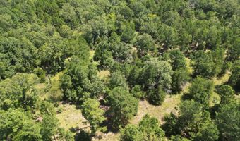 80 N4130 Rd, Antlers, OK 74523