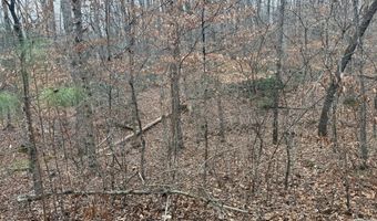 HARDWARE RD lot 1, Arvonia, VA 23004