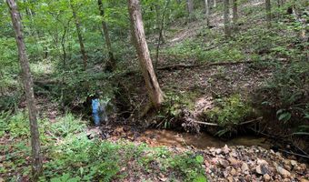 Holiday Lake Road, Appomattox, VA 24522