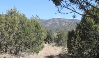Tbd Mauer Drive, Bent, NM 88314