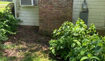 1386 Elvin Weeks Rd, Bethel Springs, TN 38315