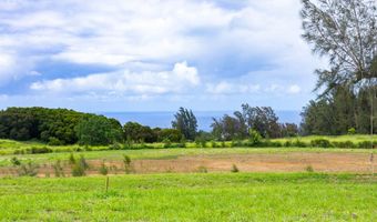 54-1749 PAIPO KANE Rd, Kapaau, HI 96755