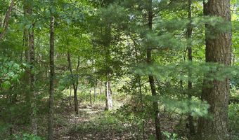 Lot 1 & 2 Rt. 1 Muddy Creek Mountain, Alderson, WV 24910