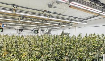 Fickle Hill Road, Arcata, CA 95521