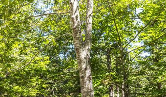 470 County Road 118, Annapolis, MO 63670