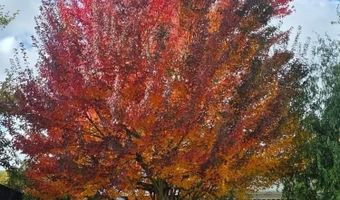 3714 Lafayette St SE, Albany, OR 97322