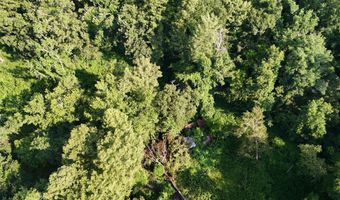 Swamp Road, Beech Island, SC 29842