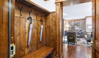 315 E Dean St B65, Aspen, CO 81611