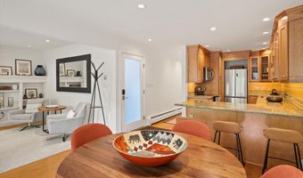 980 E Hyman Ave 3, Aspen, CO 81611