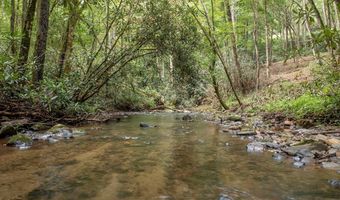 1034 Chestnut Flats Rd, Andrews, NC 28901