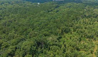 204 Silver Leaf Dr, Benton, LA 71006