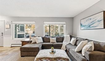 412 S Main St 111, Breckenridge, CO 80424