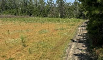 Old Buckhead Road, Bamberg, SC 29003