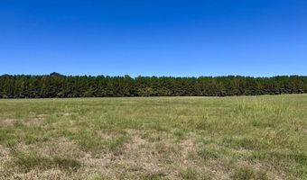 00001 Frank Hall Rd, Bolton, MS 39041