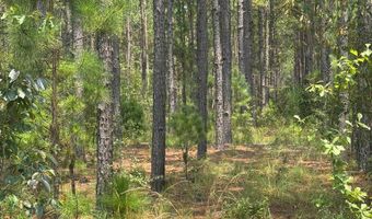 Luke Road lot 02, Ashburn, GA 31714