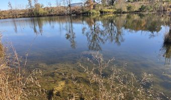 1228 River Rd, Ariton, AL 36311