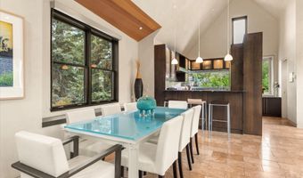 939 E Cooper Ave B, Aspen, CO 81611