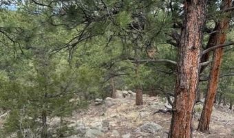 Mockingbird Trail, Bailey, CO 80421