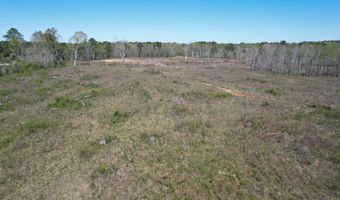 Harrison Road, Forest, MS 39074