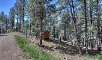 277 297 Pine Top Dr, Bayfield, CO 81122