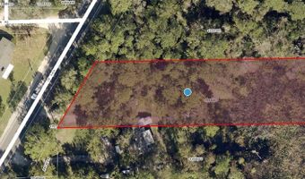 COUNTY ROAD 445A, Astor, FL 32102