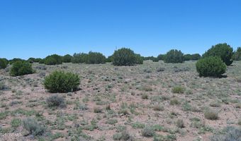 Tbd Windsor Valley Ranch Lot 87, Concho, AZ 85924