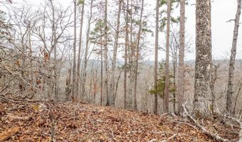 County Road 19-A, Alton, MO 65606